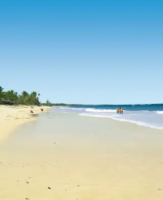 12 Days Kenyan Bush And Beach Safari