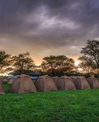 3 Days Masai Mara Budget Joining Safari