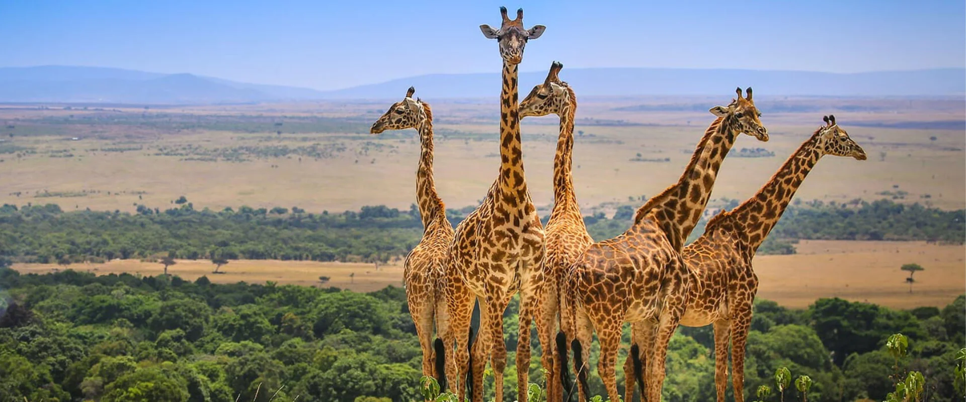 3-days-masai-mara-safari-banner