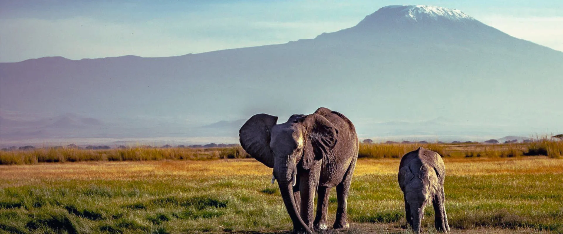 5-days-kenya-safari-holiday-banner