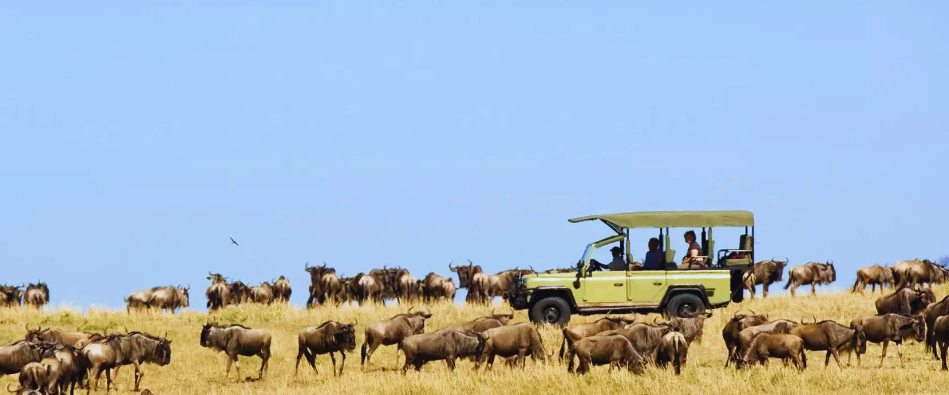 7-day-kenya-tanzania-migration-safari-banner