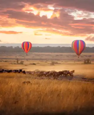 7 Days Best Of Kenya Safari to Masai Mara – Nakuru – Samburu