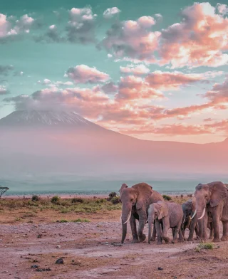 7 Days Kenya - Tanzania Safari