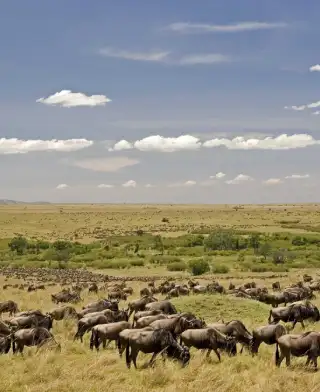 9 Days Kenyan Bush And Beach Safari Holidays