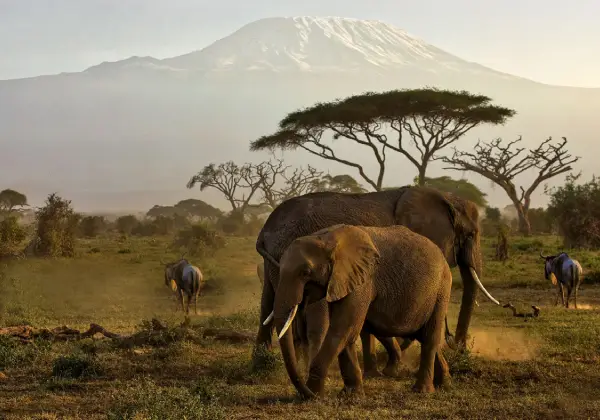 amboseli-national-park3