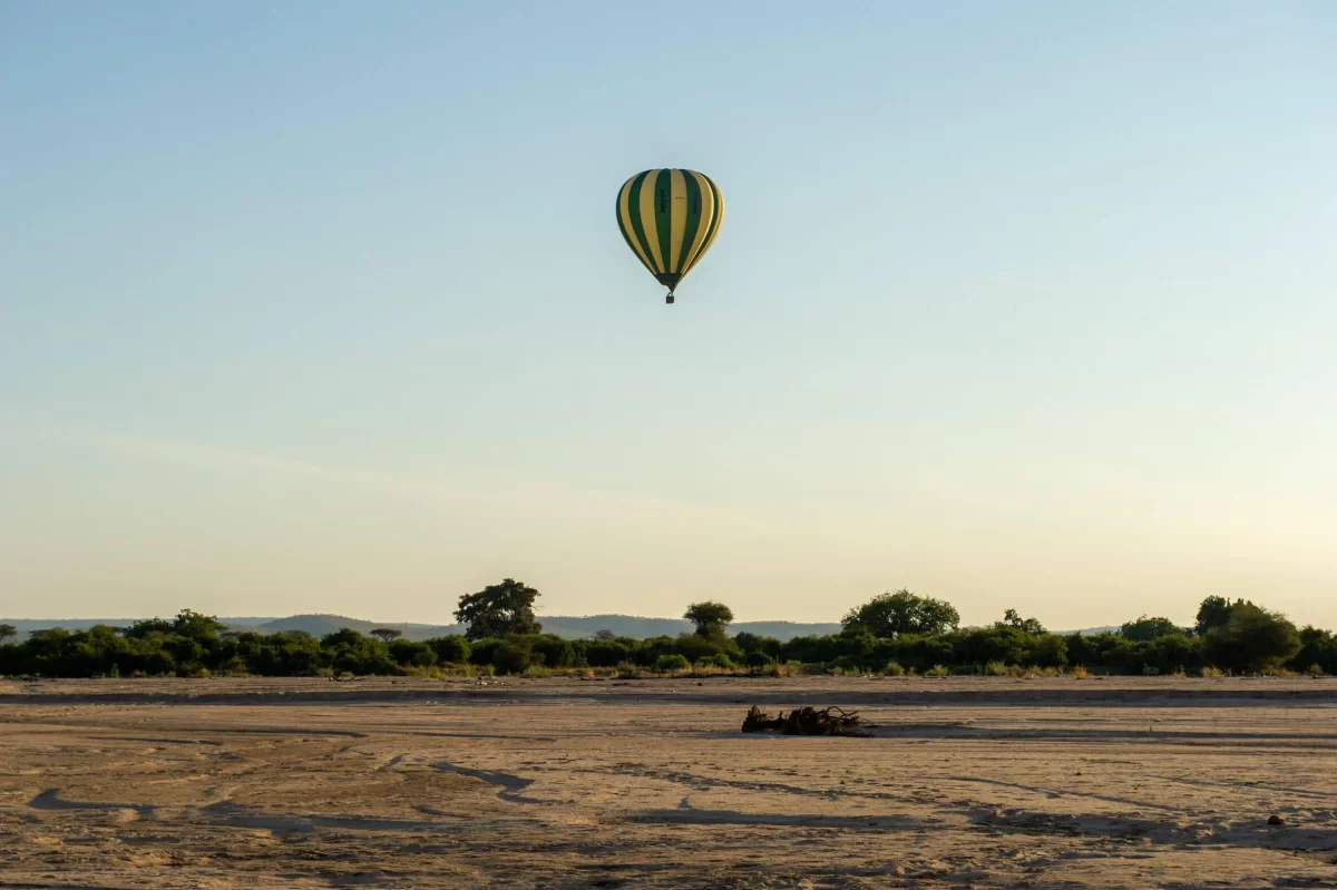 Elephants and wildebeest crossing the open savannah grasslands of the Serengeti in Tanzania