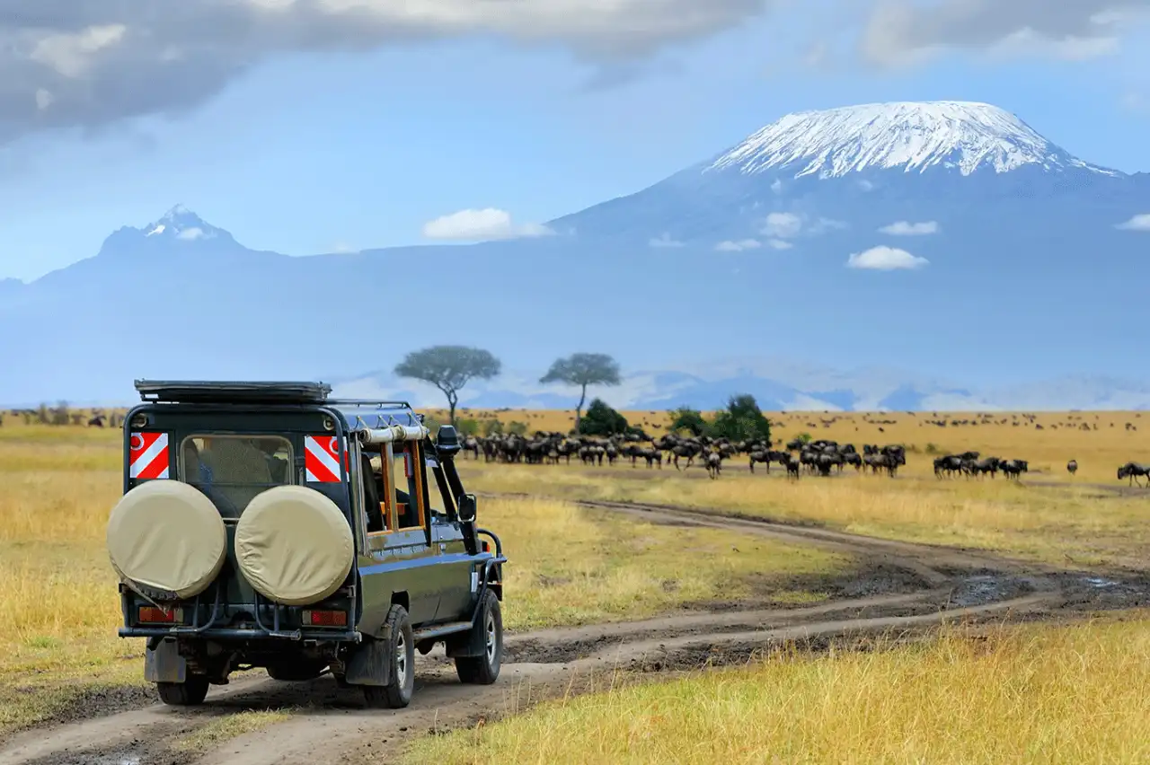 Mount Kilimanjaro rising above the savanna