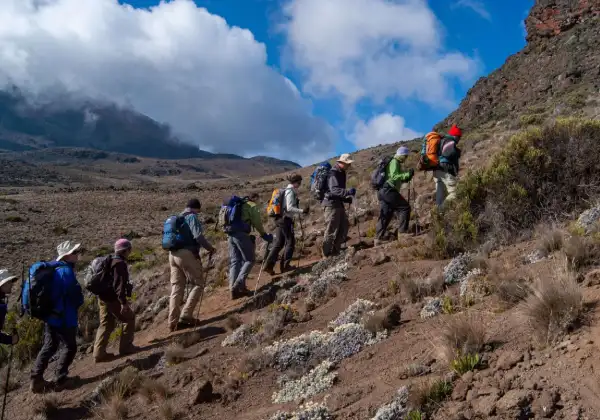 kilimanjaro-national-park2