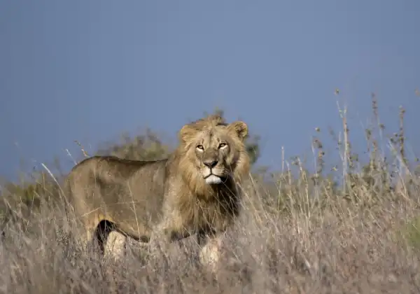 nairobi-national-park1