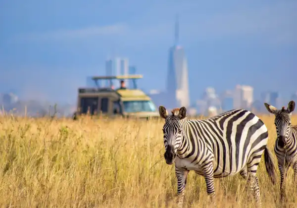 nairobi-national-park2