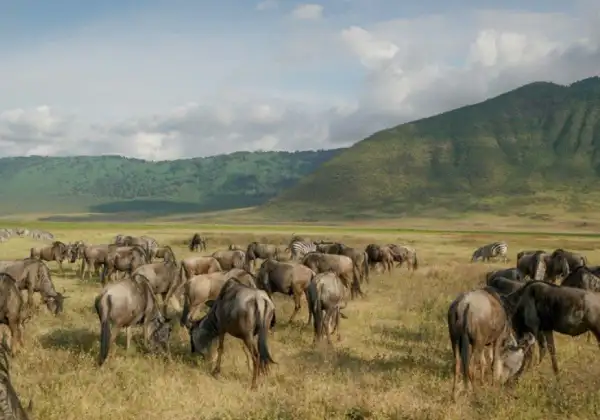 ngorongoro-crater2