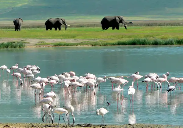 ngorongoro-crater4