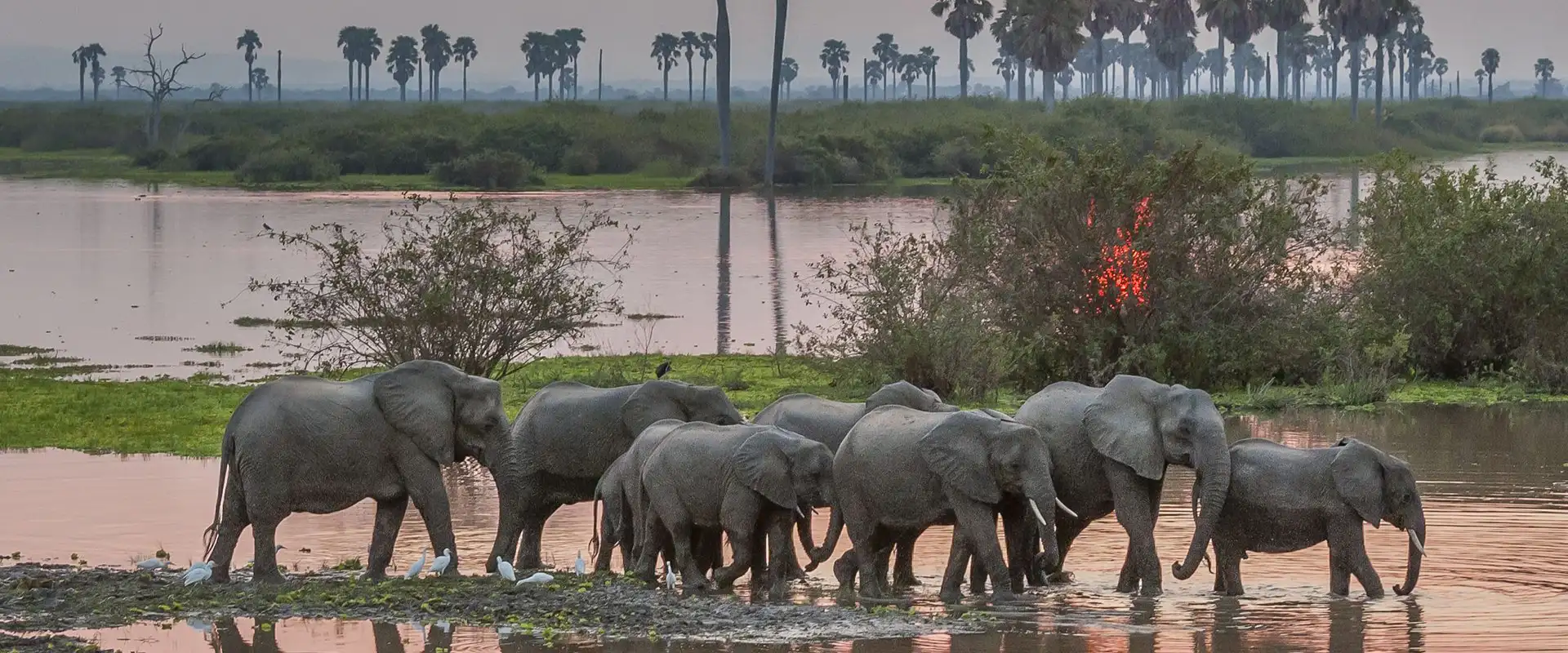 Nyerere National Park