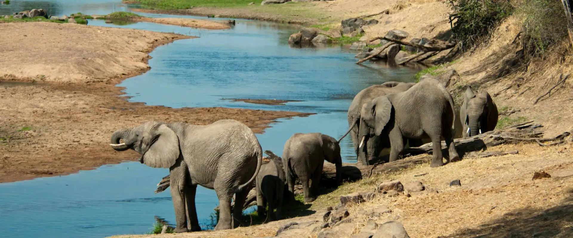 Ruaha National Park