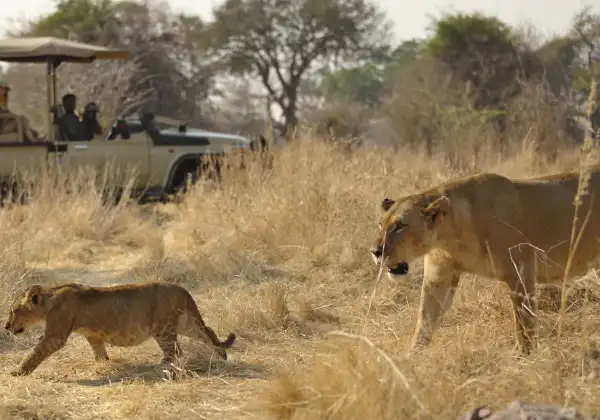 ruaha-national-park1