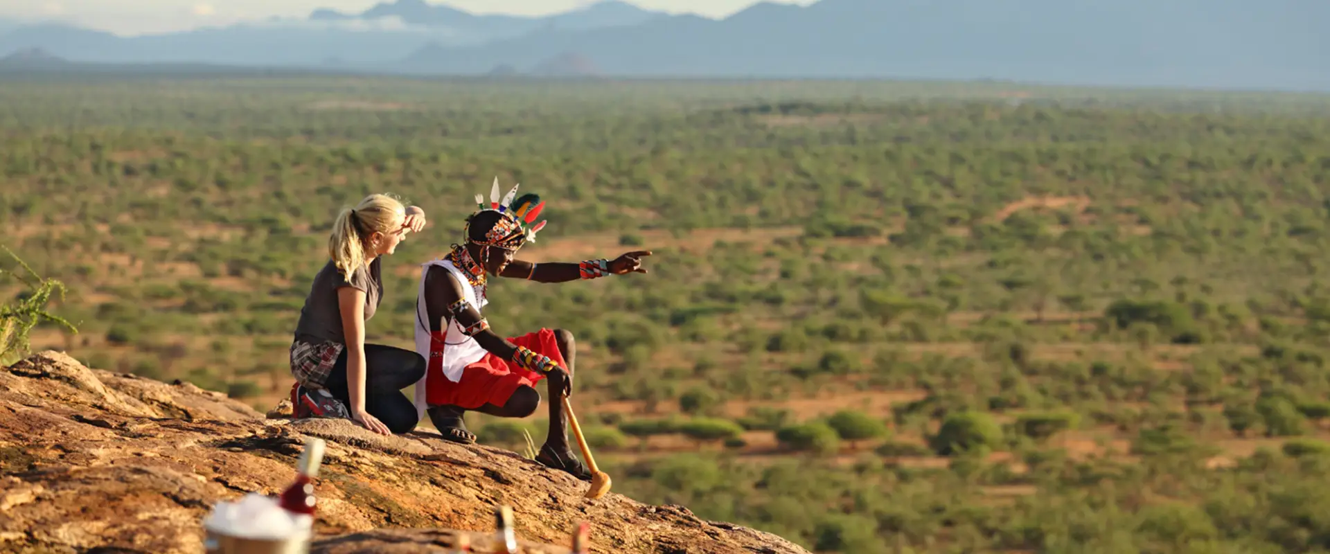 Grevy's zebra and reticulated giraffe in Samburu