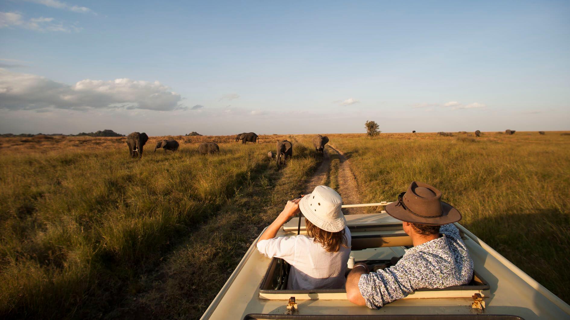 Game drive vehicle among Serengeti wildlife