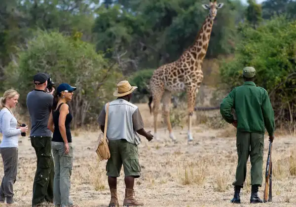 serengeti-national-park3