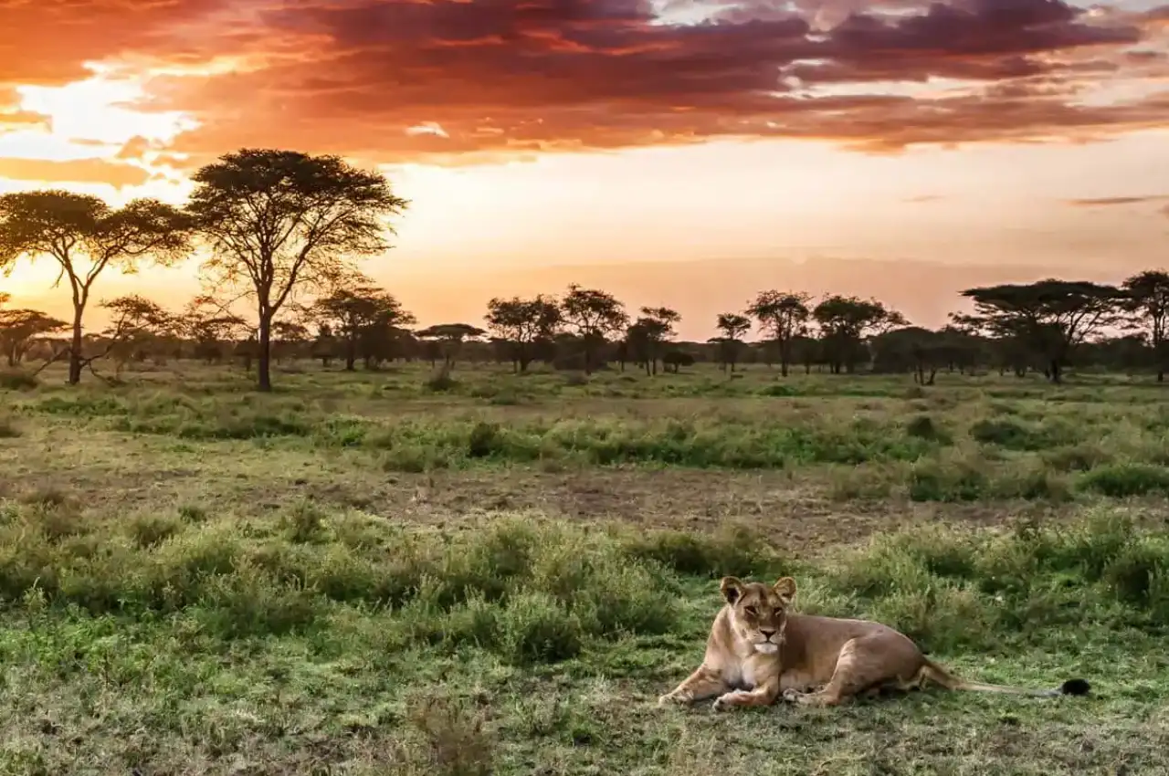 Tanzania Destination