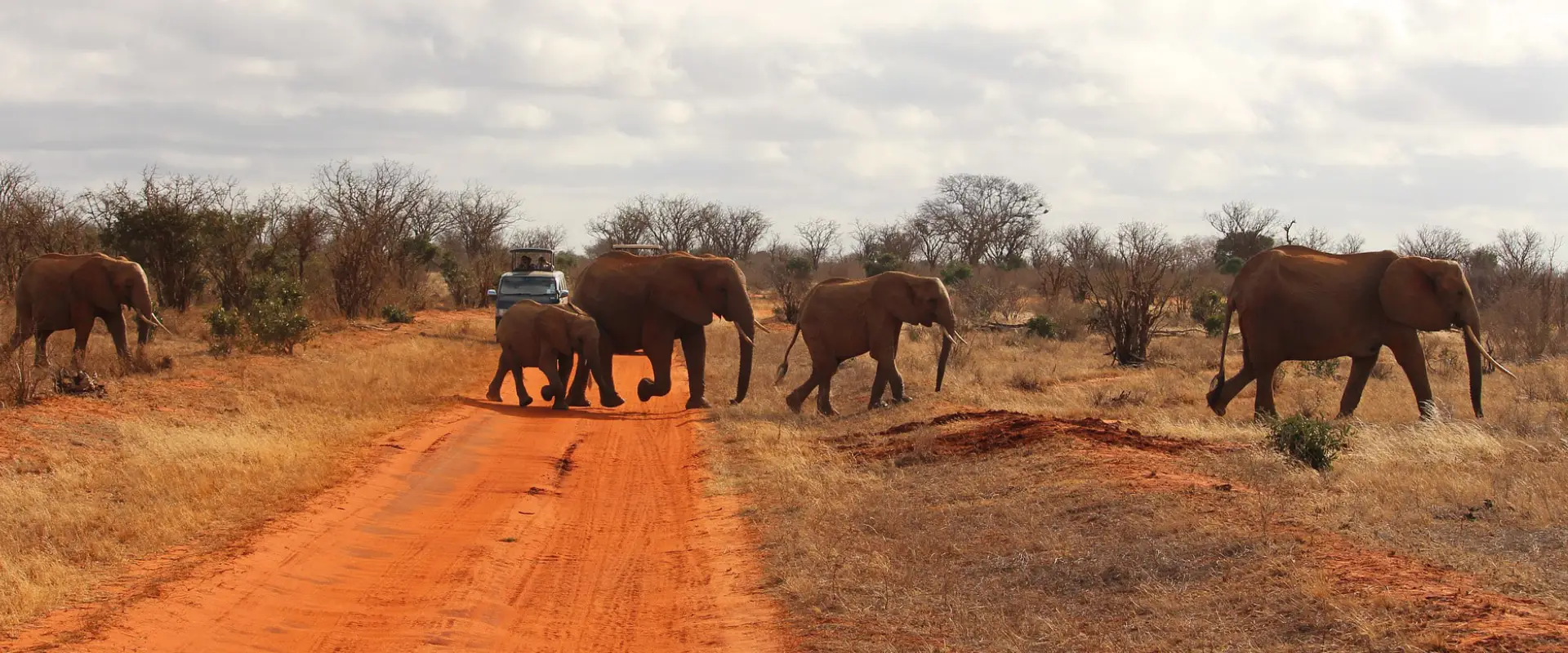 Savanna landscape of Tsavo East National Park