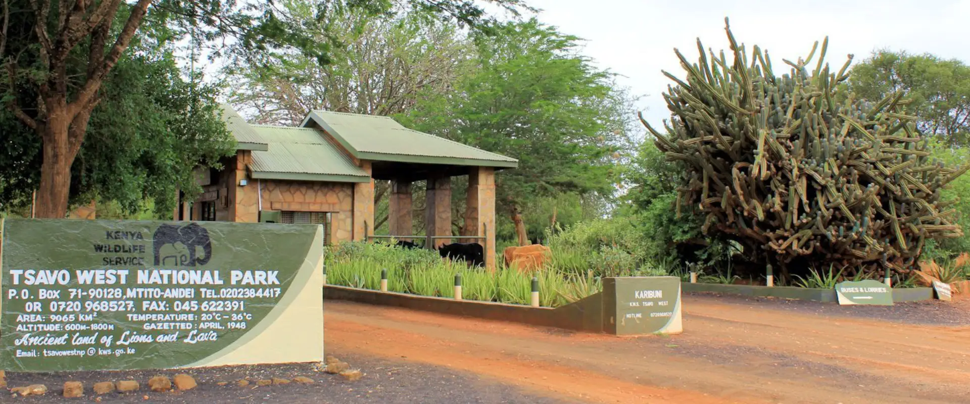 Volcanic hills and greenery of Tsavo West National Park