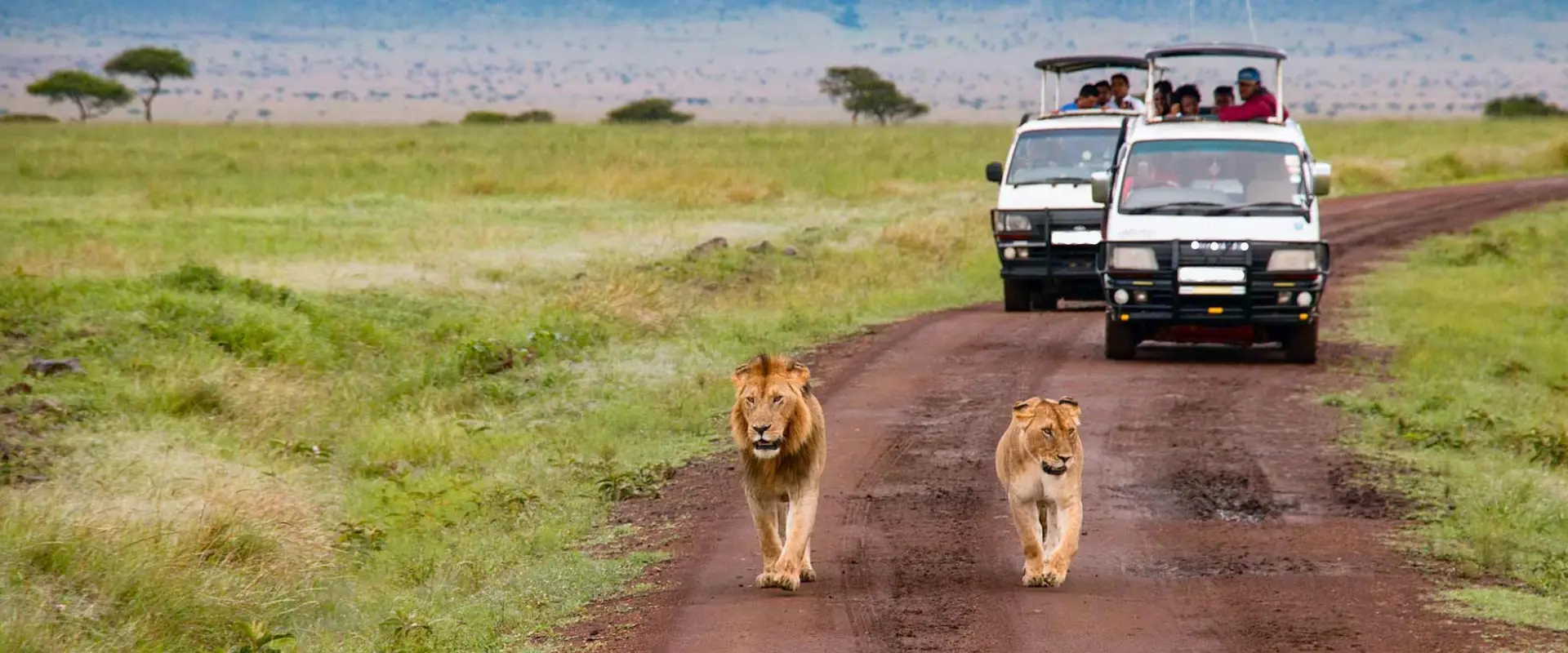 What To See And Do In Kenya
