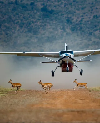 3 Days Masai Mara Flying Safari