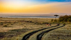 Kenya safari tours - beautiful view