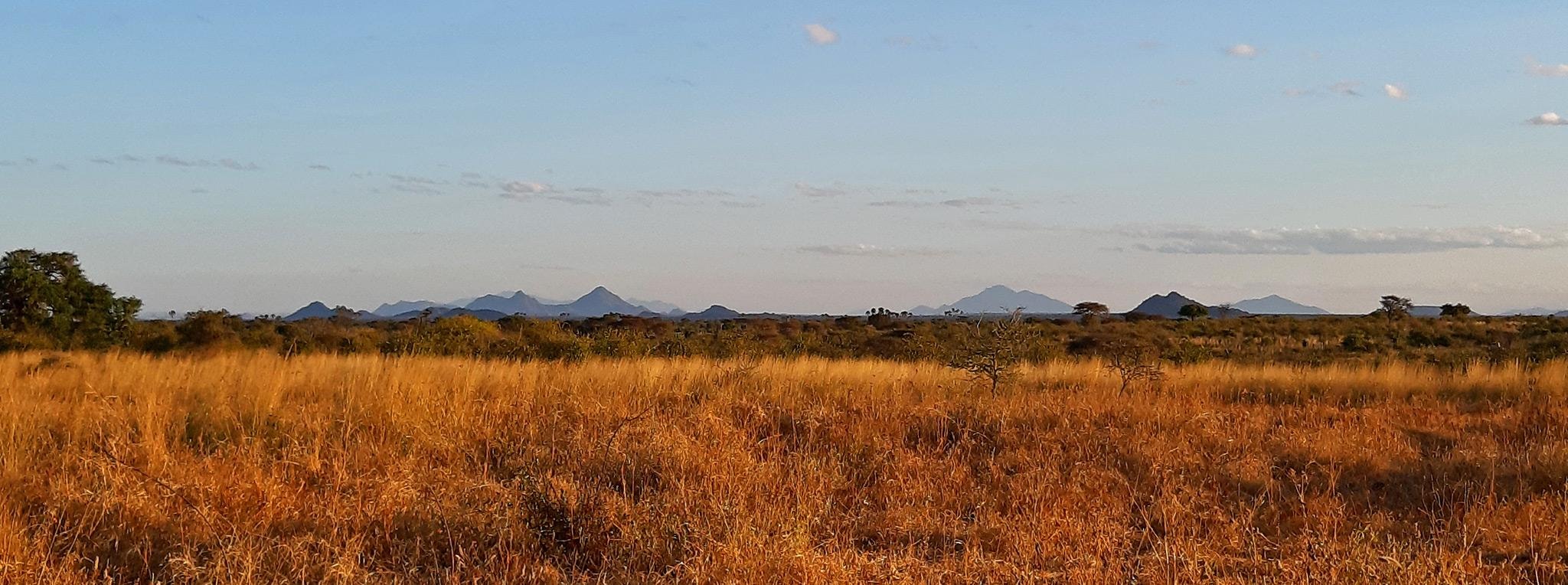 A serene view of Meru National Park showcasing its tranquil landscapes and abundant wildlife.