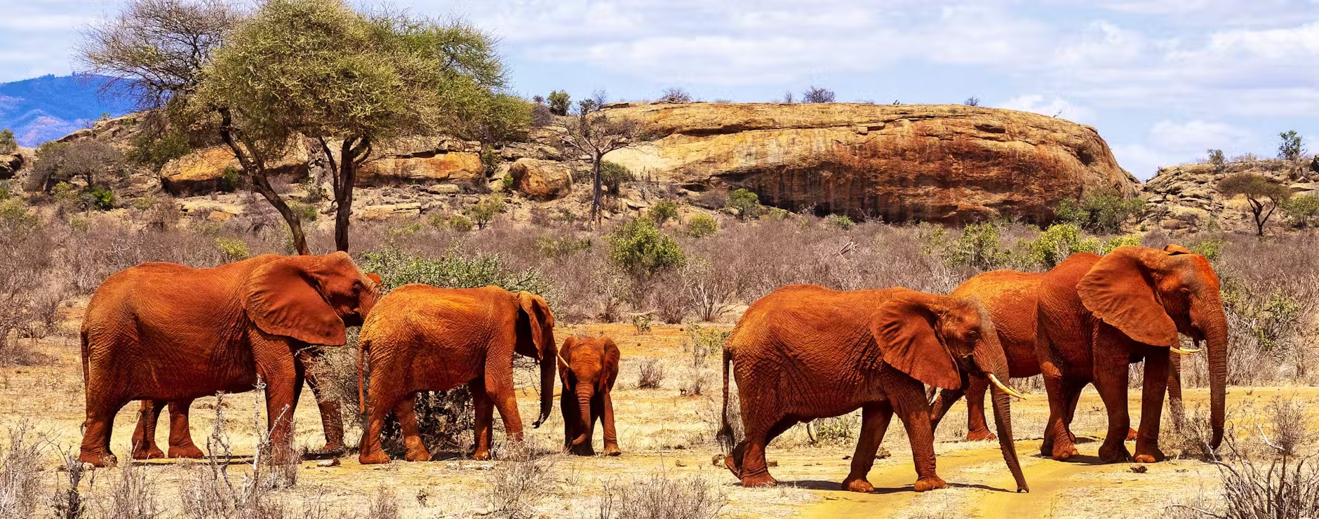 Diverse landscapes of Tsavo East and West National Parks showcasing dramatic volcanic hills and sweeping grasslands.