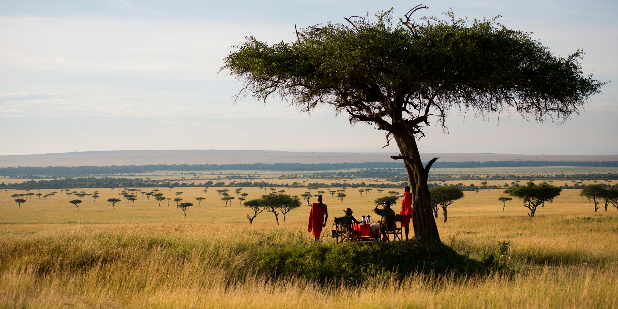 bush breakfast in Masai Mara