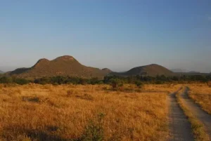 Scenic savannah landscape in Samburu National Park, Kenya