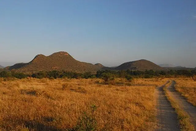 Elephants along the Ewaso Nyiro River in Samburu