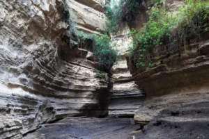 Rock formations and lush vegetation at Hell’s Gate National Park, Kenya.