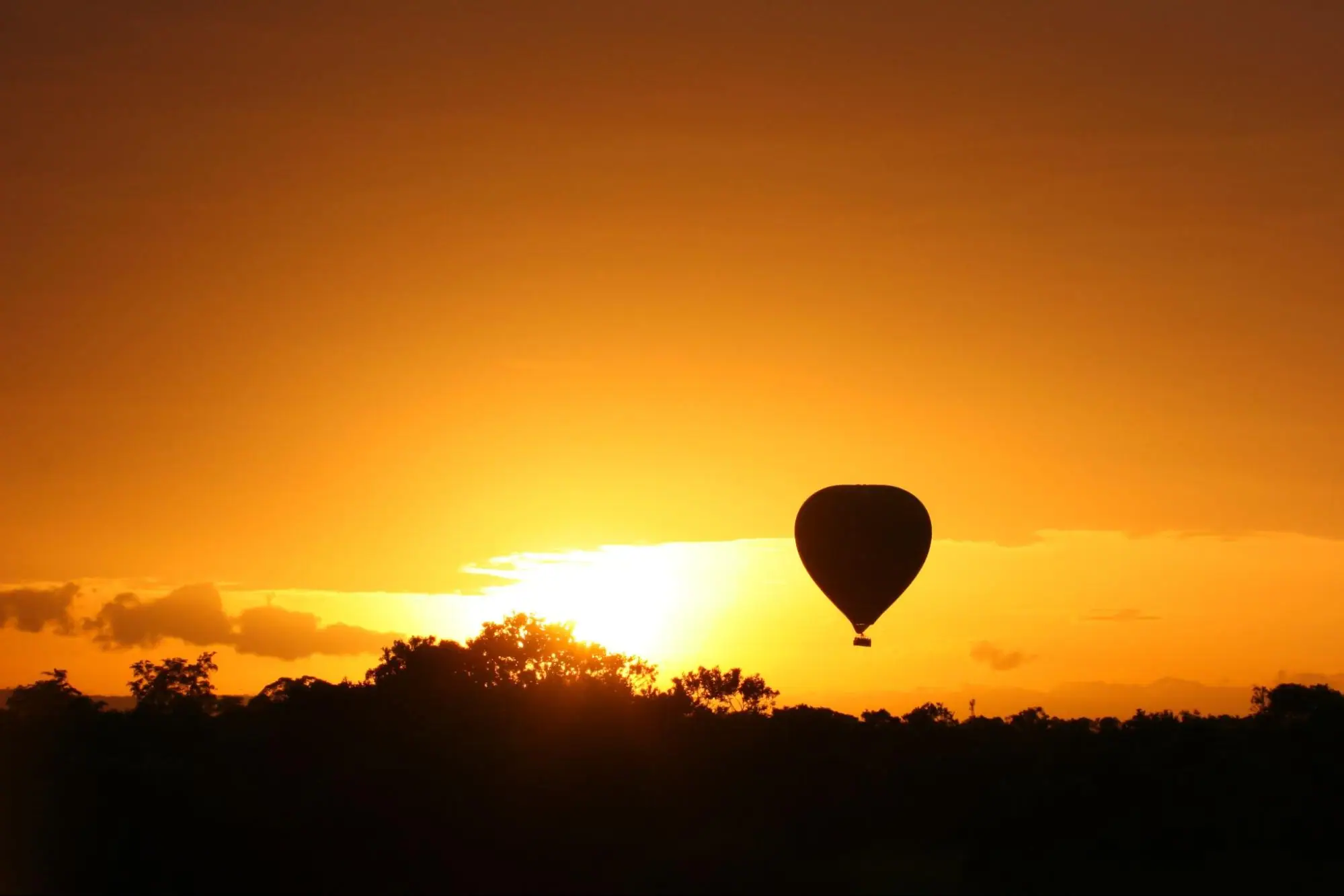 Hot air balloon flying over the reserve