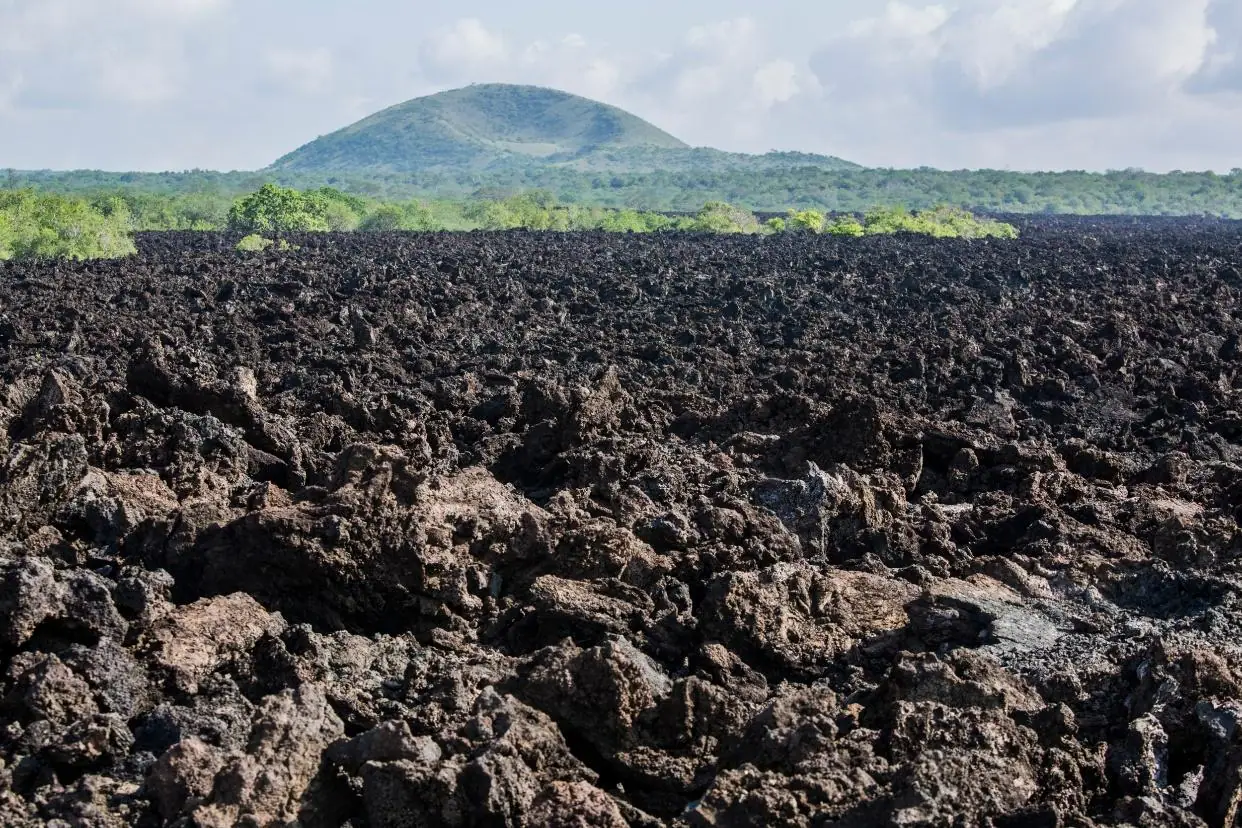 Expansive black volcanic terrain at Shetani Lava Flow in Tsavo West National Park