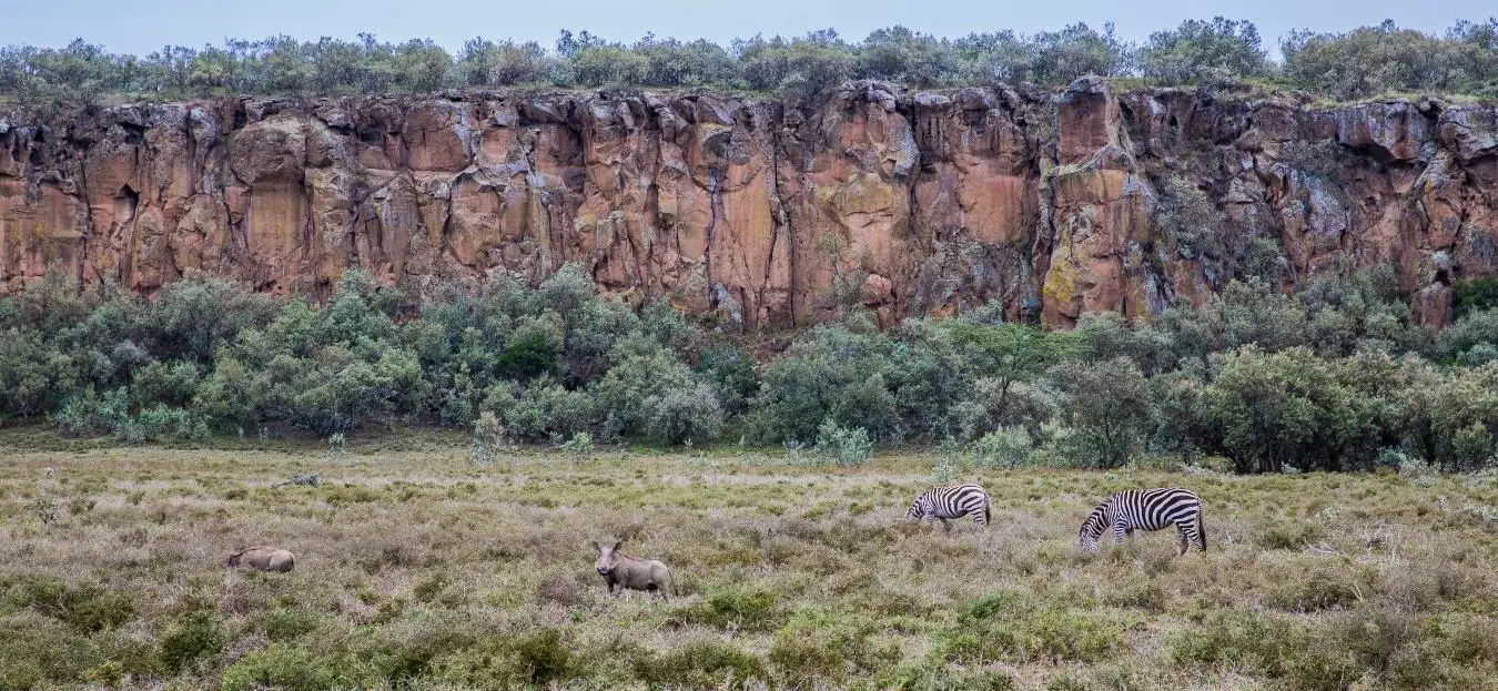 Zebras and antelopes grazing near dramatic cliffs in Hell’s Gate National Park, Kenya.