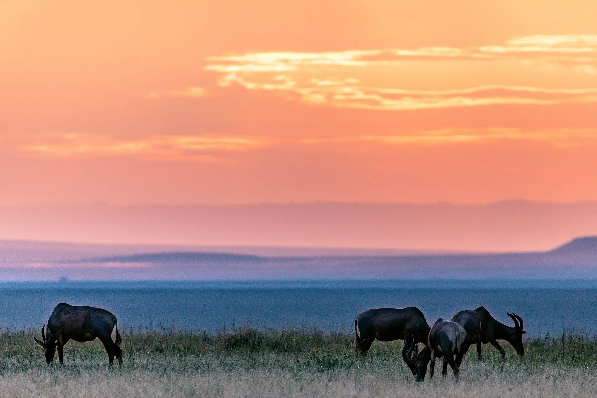 Beautiful sunrise with great horizon