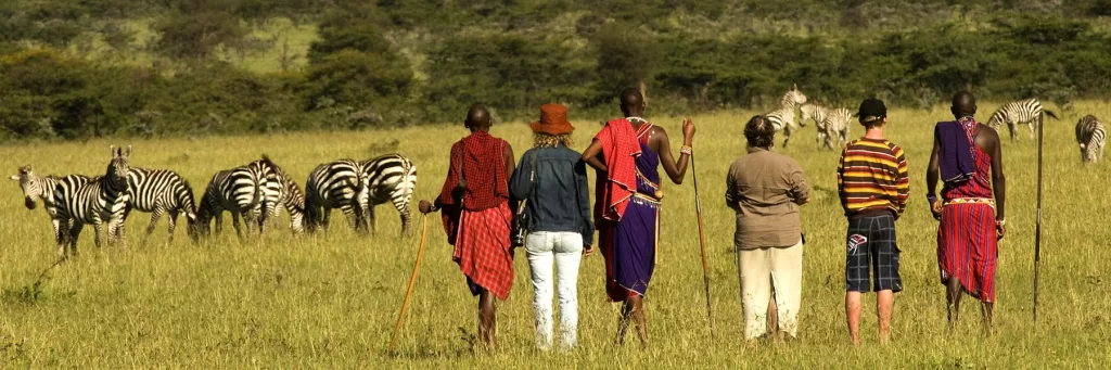 Walking Safari in naboisho conservancy