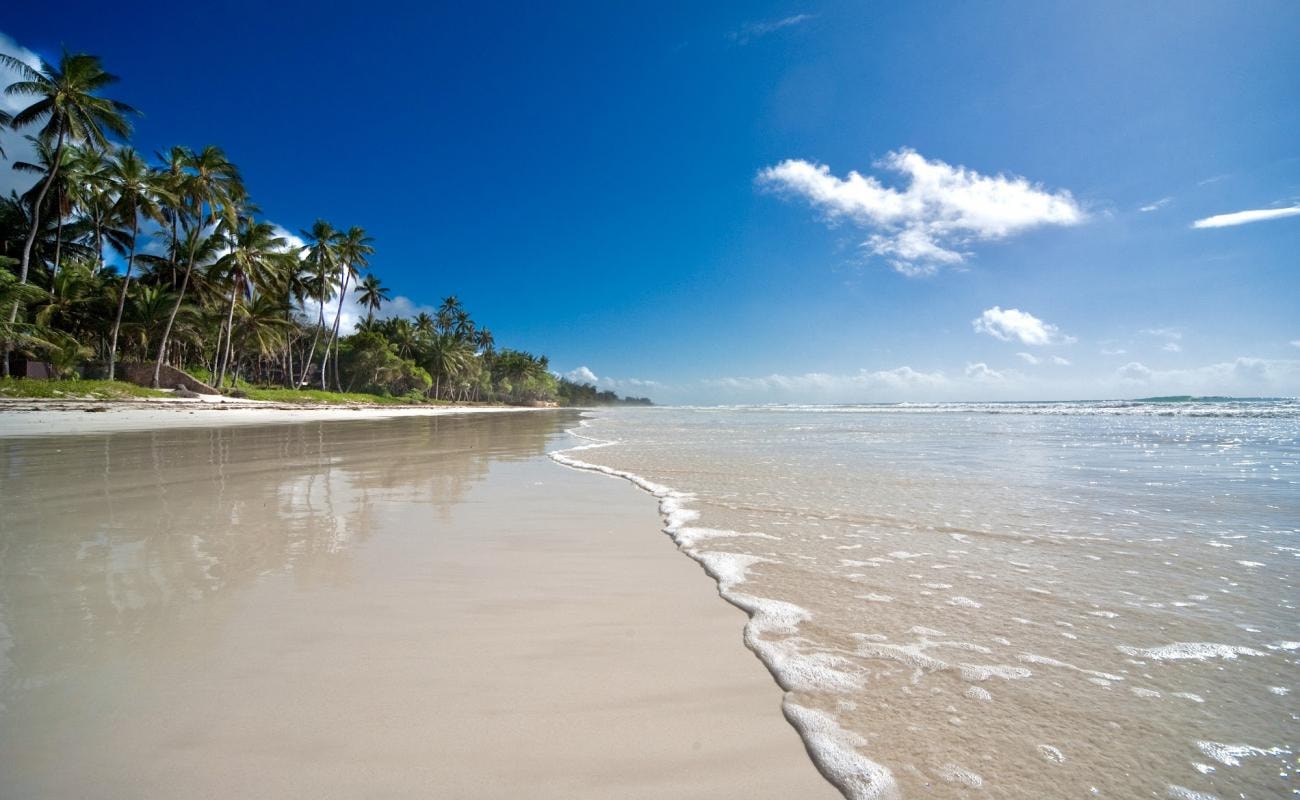 Wide-angle view of Kinondo Galu Beach with white sand, gentle waves, and tall palm trees under a clear blue sky.