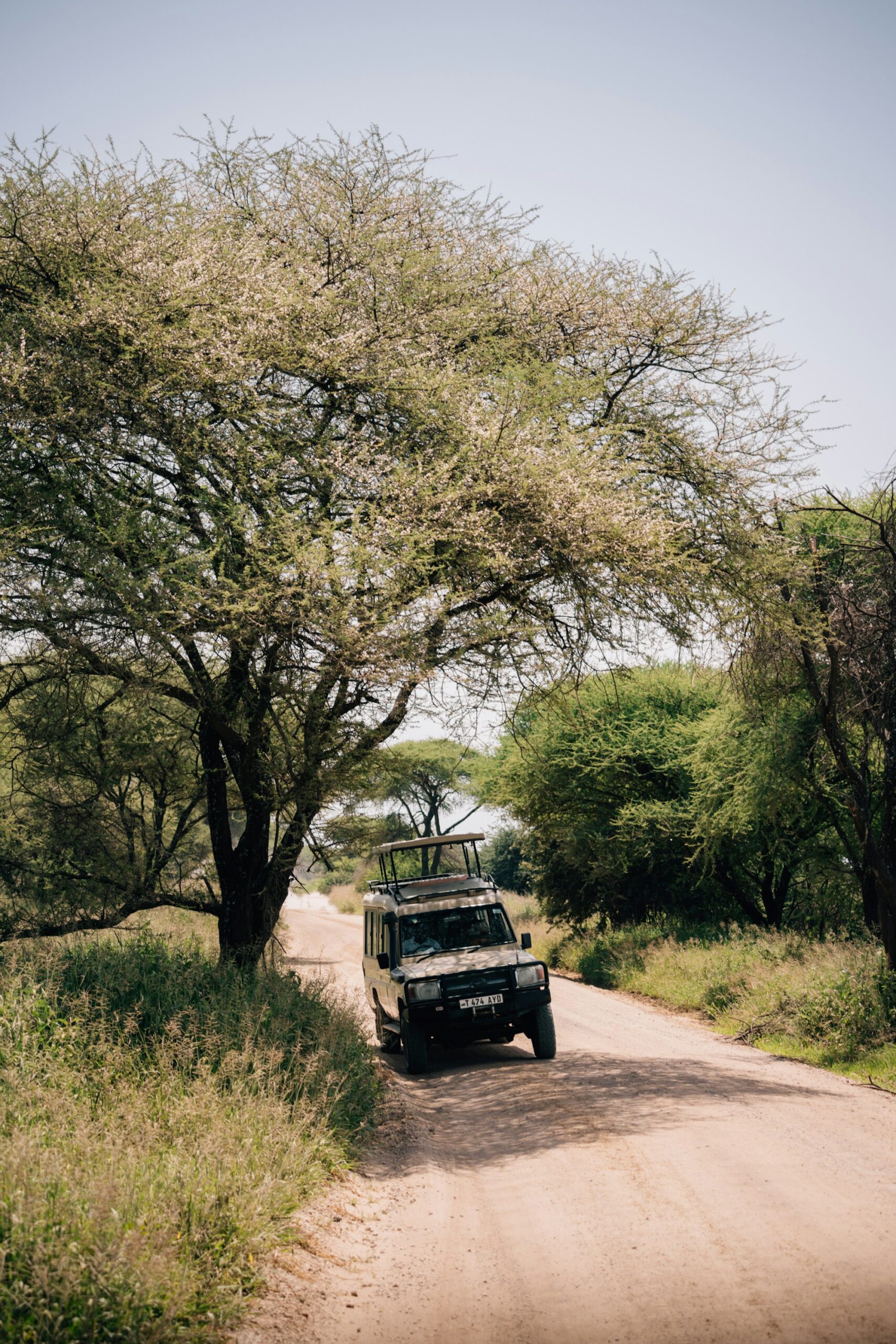Safari vehicle on a Kenyan savannah game drive with tourists comparing safari package options