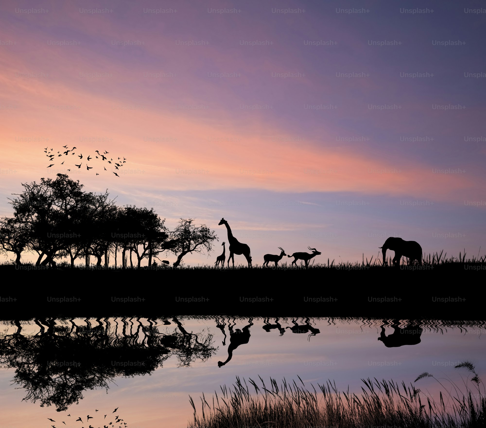 Luxury safari lodge overlooking the Maasai Mara savannah at sunrise