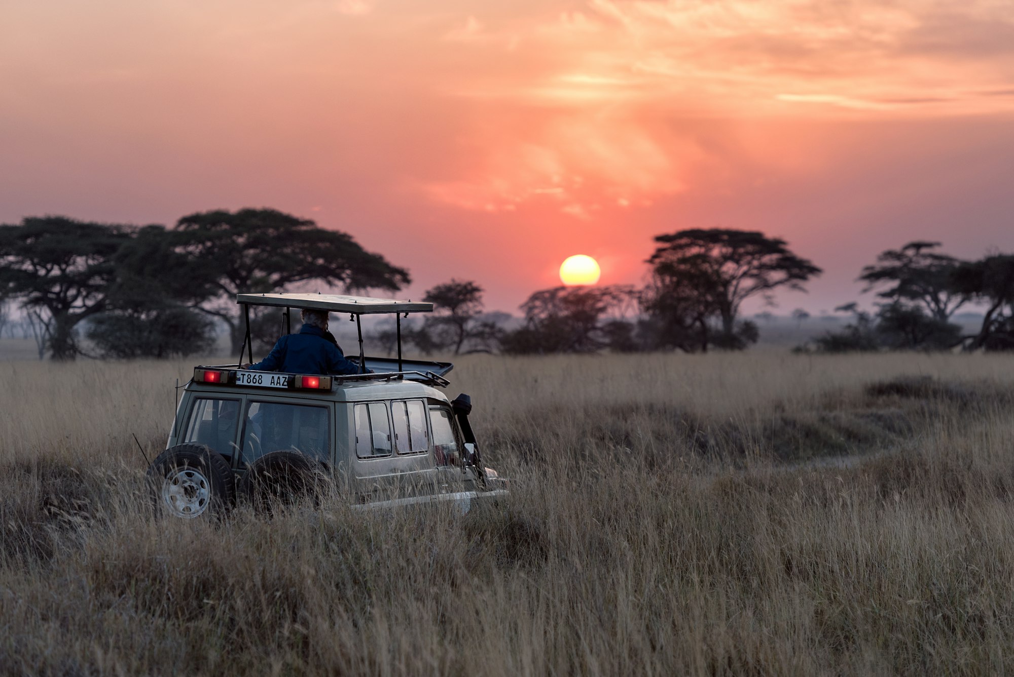 Golden sunset over the Masai Mara savannah with acacia trees and roaming wildlife.