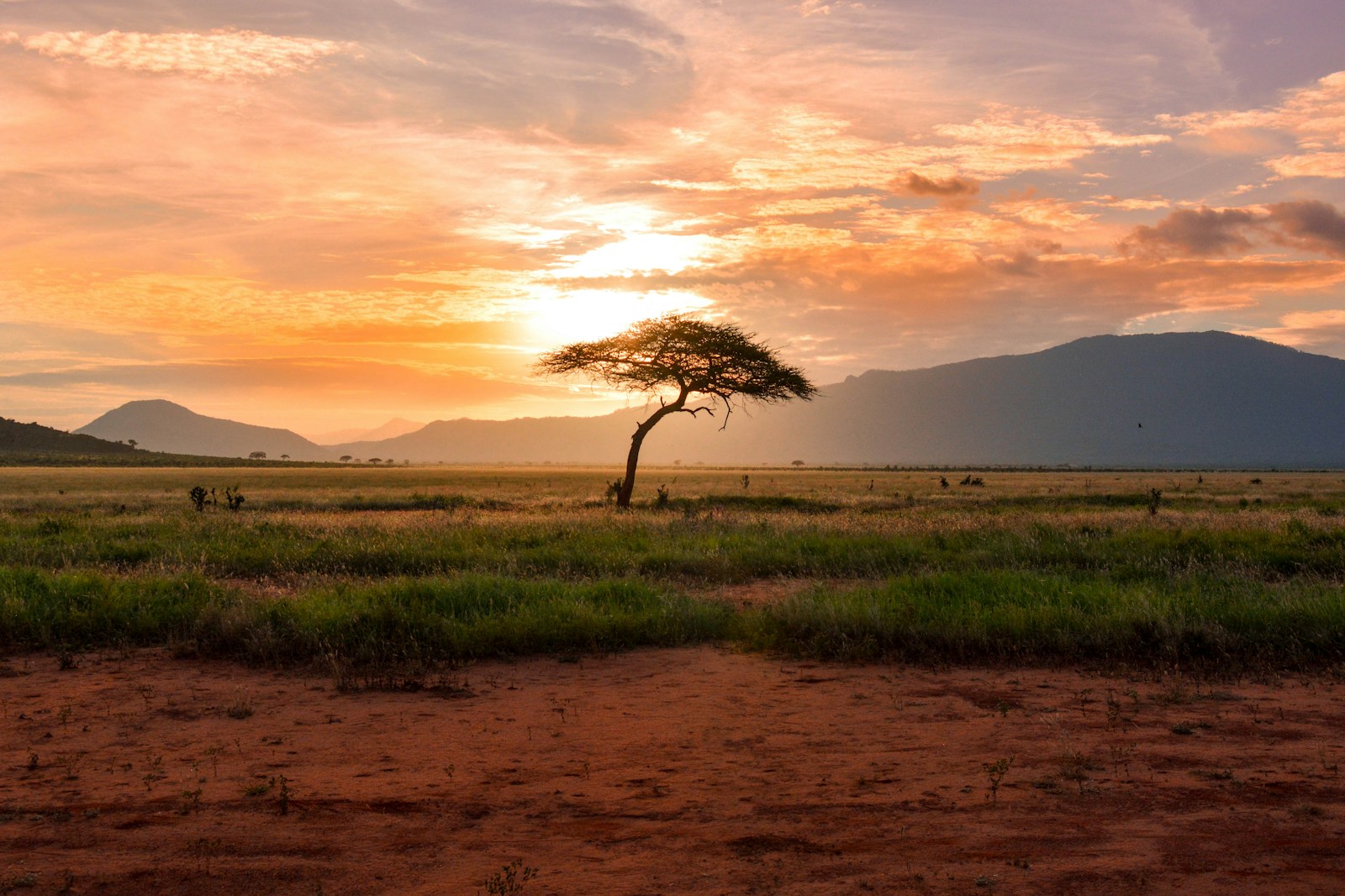 Safari vehicle on Kenya's plains