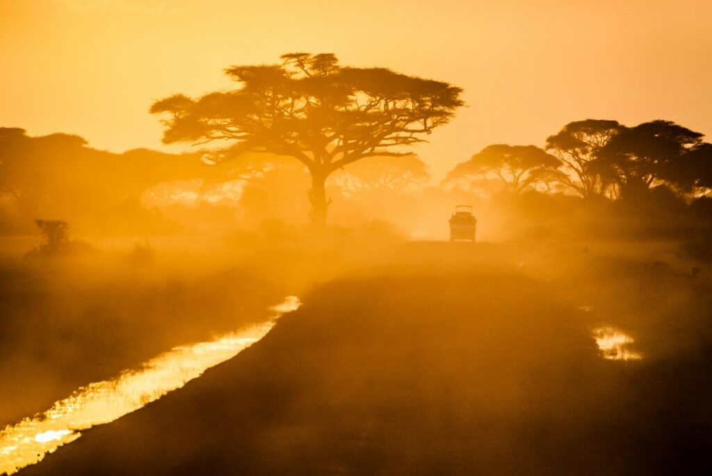 Kenya safari landscape under an open sky
