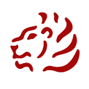 SafariBookings